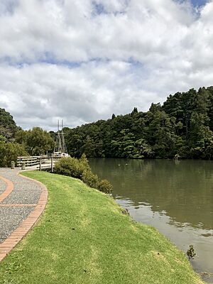 Mahurangi River (2018)