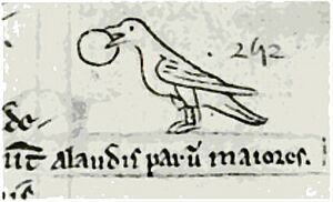 Matthew Paris 1251 sketch of Crossbill eating fruit