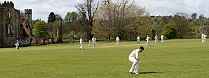 Midhurst cricket, April 2015