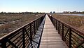 Mill Creek Point boardwalk jeh