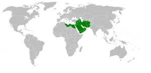 Mohammad adil rais-rashidun empire-at-its peak