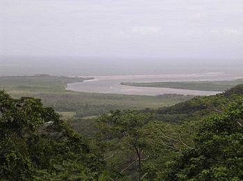 Mouth of the Daintree River.jpg