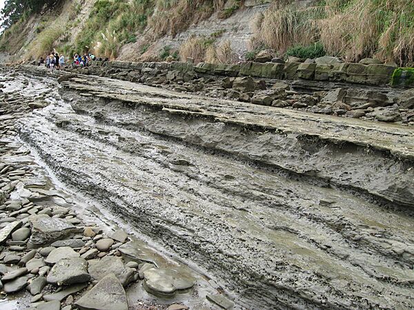 Mudstone sandstone layers