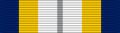 Navy Ceremonial Guard Ribbon