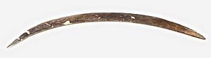 Obłazowa Cave Mammoth Tusk Boomerang