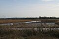 Old peat workings on Walton Heath - geograph.org.uk - 677496