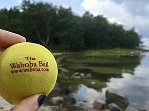 Original Waboba Ball