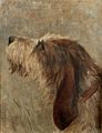 Otterhound by Frances C. Fairman