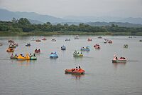 Pedalos - Sukhna Lake - Chandigarh 2016-08-07 9003