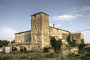 Peralada - Mas de les Torres