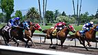 Quarter horse racing at the Alameda County Fair in Pleasanton