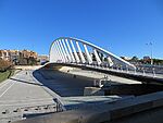 Pont de l'Exposicio - panoramio.jpg