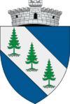 Coat of arms of Dorna-Arini