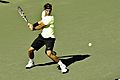 Rafael Nadal at the 2010 US Open 01