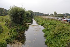 River Hiz in Arlesey