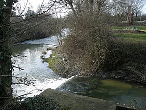 Rugby-The River Swift - geograph.org.uk - 674458