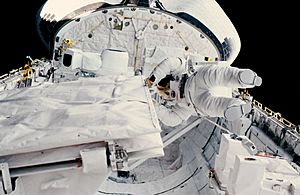 STS-41-G Sullivan checks SIR-B antenna latch