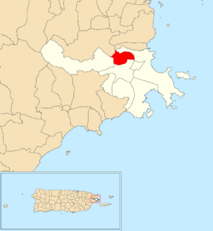 Location of Saco within the municipality of Ceiba shown in red
