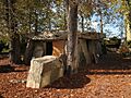 Saumur Dolmen Bagneux 2007.jpg