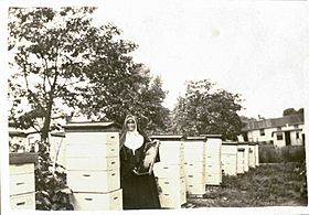 Sister Ann Joseph Morris - Keeper Of The Bees