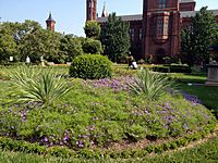 Smithsonian-haupt-garden1