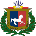 Soriano Department Coa