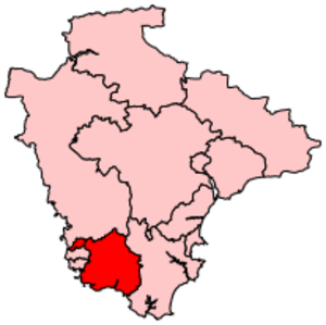 SouthWestDevon2007Constituency