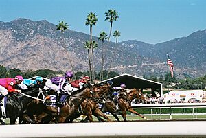 Start of the Juvenile Sprint at Santa Anita Park