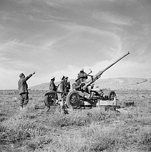 The British Army in North Africa 1942 E9542