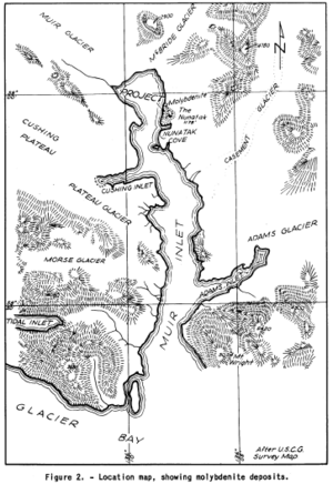 The Nunatak Molybdenite