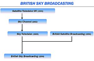 UK satellite TV evolution