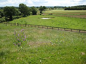 View from a country churchyard - geograph.org.uk - 850746
