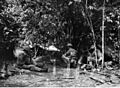 014177 2-7 Cav HQ Sanananda Track