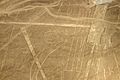 04-Nazca Lines-nX-36