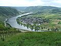 080110 wolf mosel