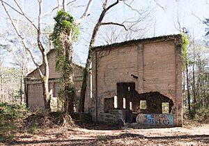 AldrigeSawmill1 (1 of 1)