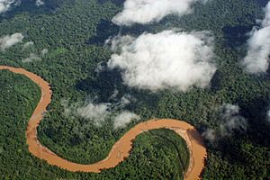 Amazonia boliviana desde el aire