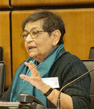 Arundhati Ghose - CTBT Diplomacy & Public Policy course - July 2013.jpg