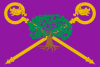 Flag of Brazacorta
