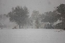 Blizzard conditions in Carlyss, Louisiana Jan 21, 2025