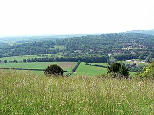 Boxhill surrey viewfromtop
