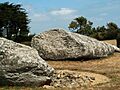 Bretagne Morbihan Locmariaquer 14020