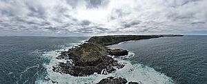 Cape Schanck aerial panorama. April 2024