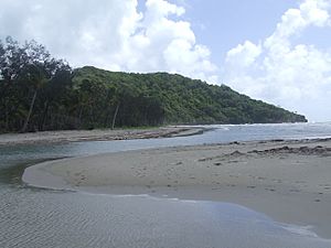 Cape Tribulation head, near Dubuji Boardwalk