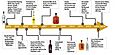 Castle Brands Inc brand acquisition timeline