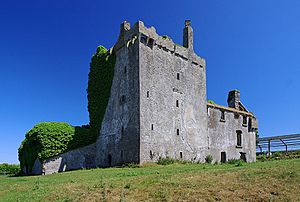 Castles of Connacht- Deel, Mayo (1) (geograph 1954385)