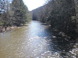 Catawissa Creek in Zion Grove, Pennsylvania