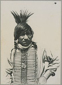Chief King of the Wind (HS85-10-27755)