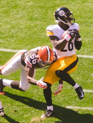 Cleveland Browns vs. Pittsburgh Steelers (15530353245)
