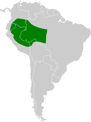 Cotinga maynana map.svg